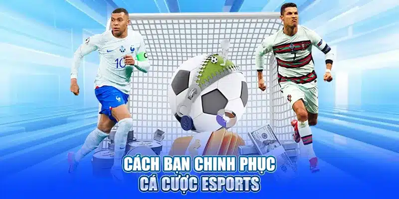 Cách bạn chinh phục cá cược Esports