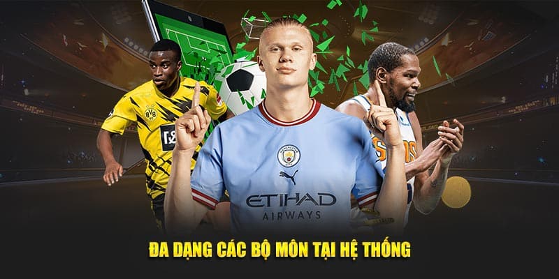 Đa dạng các bộ môn tại hệ thống